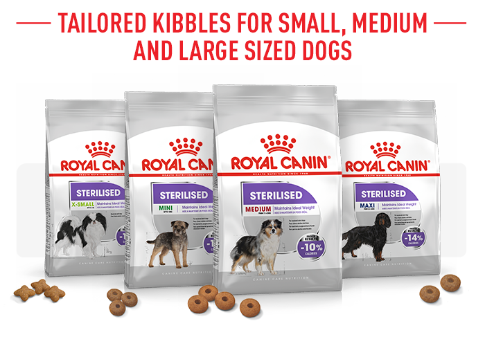 Medium sterilised store royal canin
